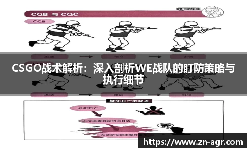 PG官方